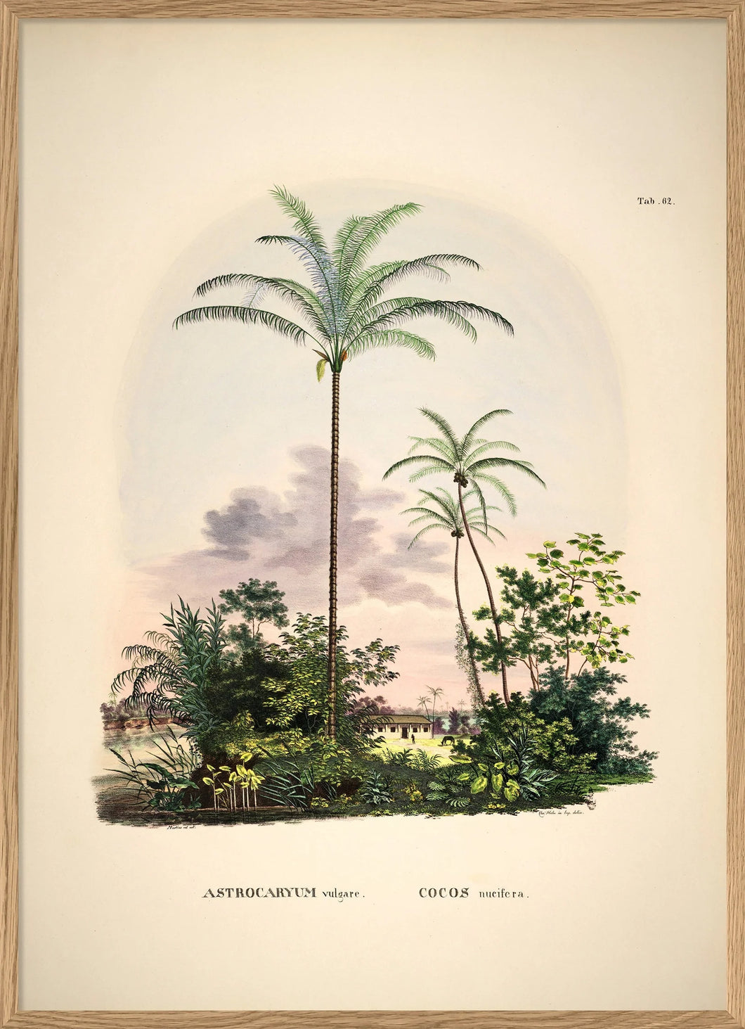 Cadre avec illustration palmier - 112x158cm